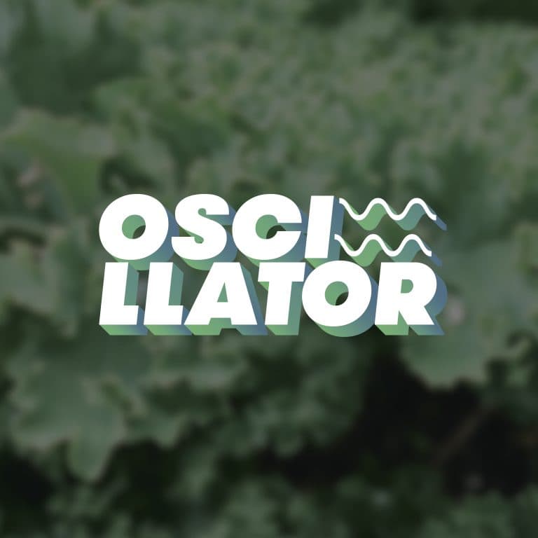 OSCILLATOR_24_02_2021