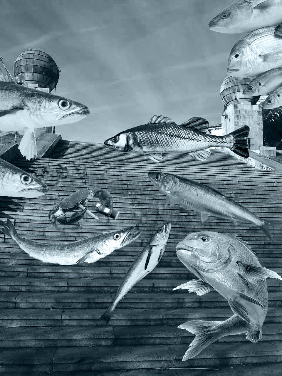 imagem do programa Pescadas Monumentais