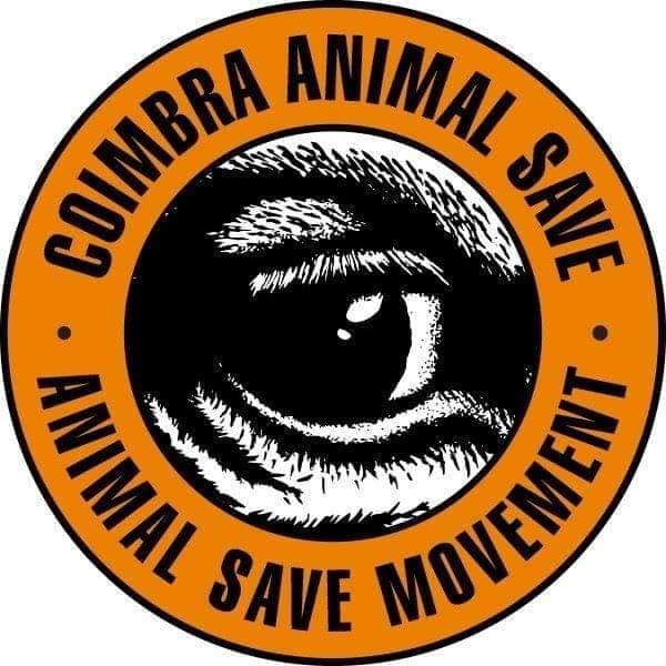 Coimbra Animal Save foto