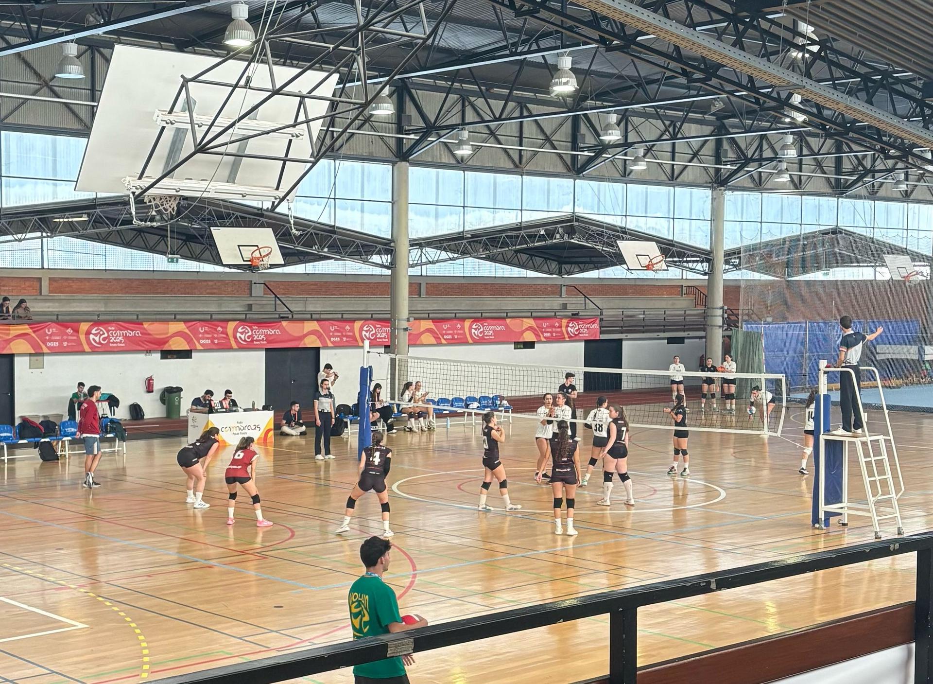 voleibol